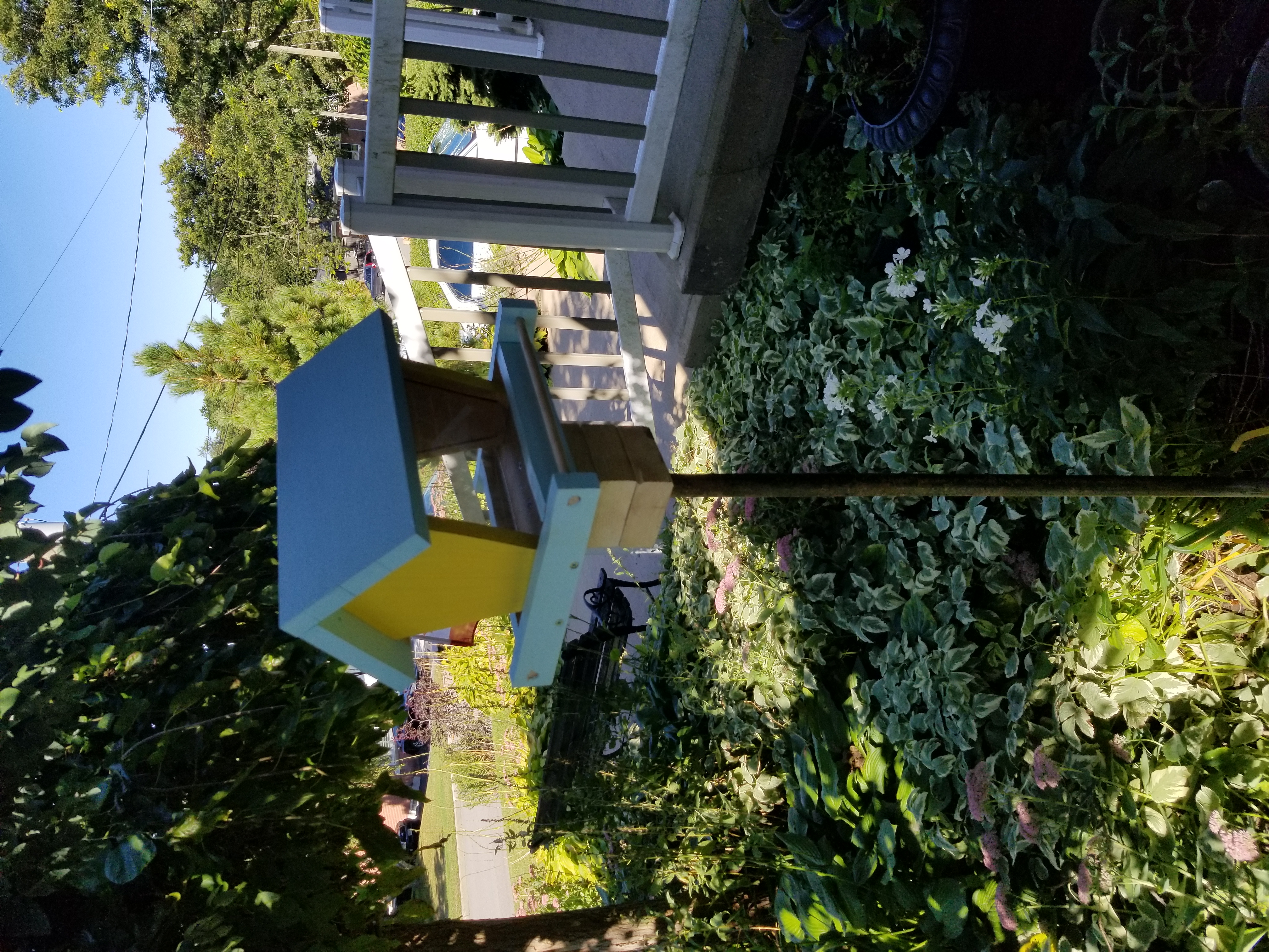 empty bird feeder - view from outside