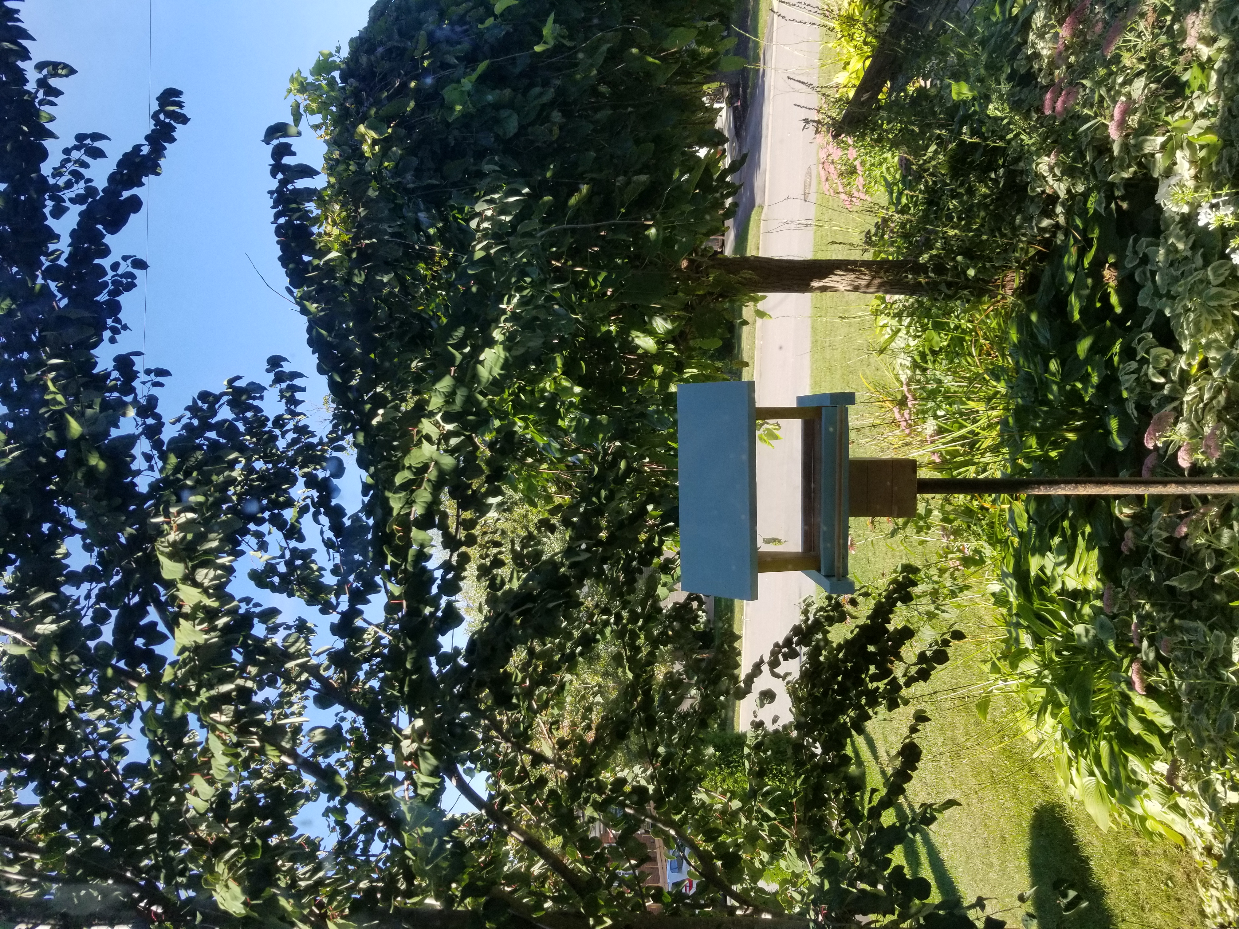 empty bird feeder - view from my window