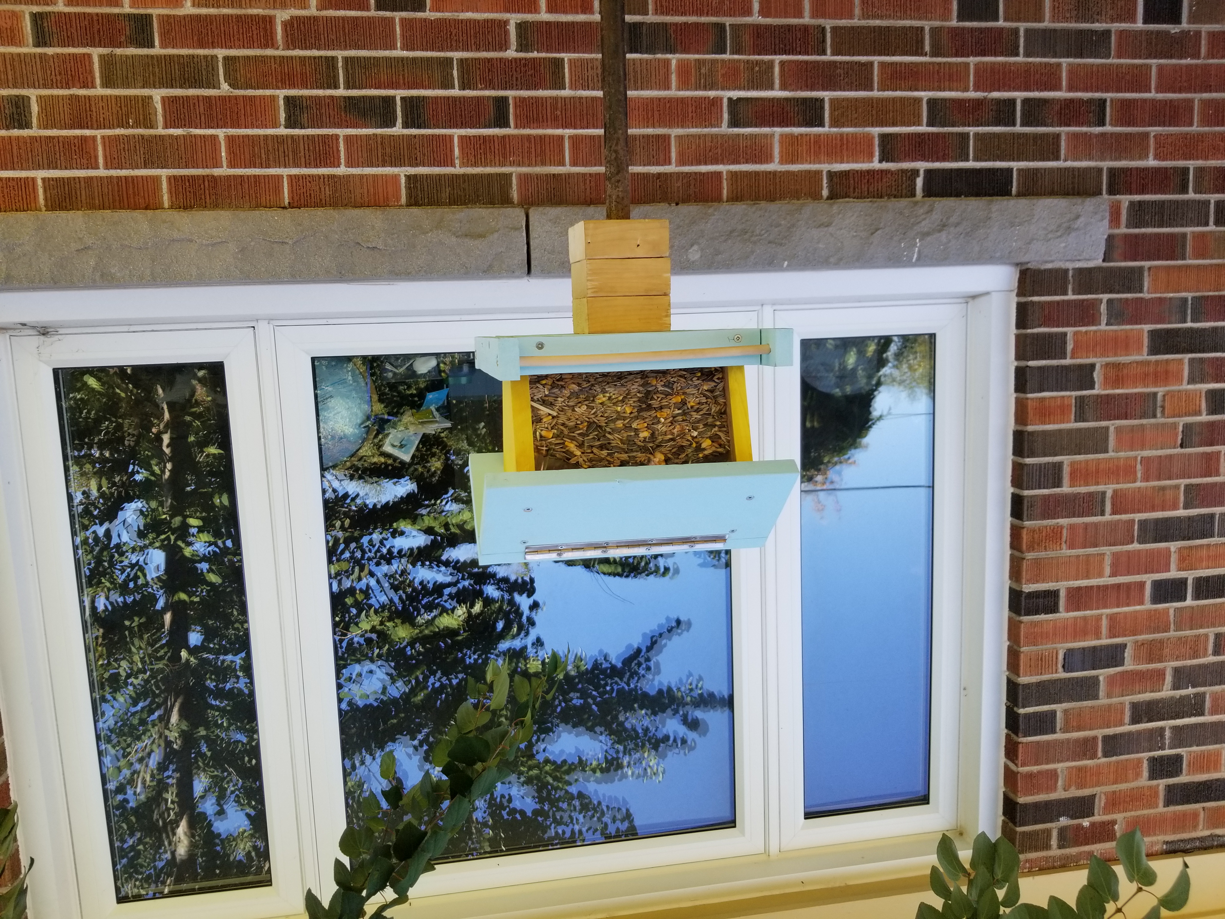 filled bird feeder - view from outside