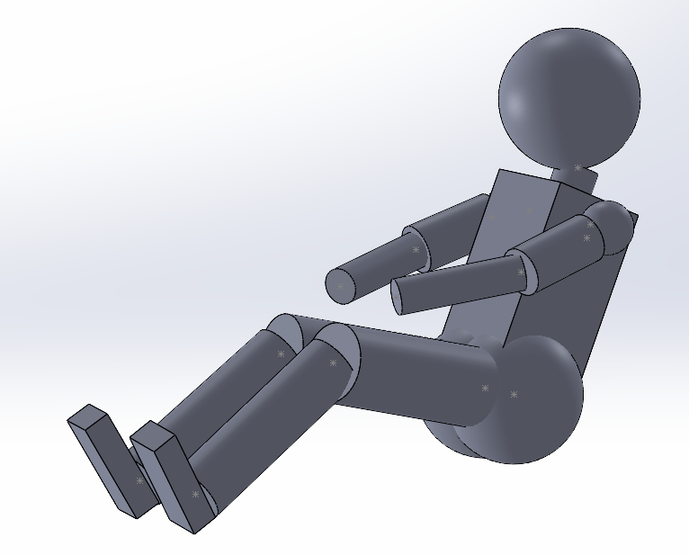 3D solidworks model of the 99th percentile male