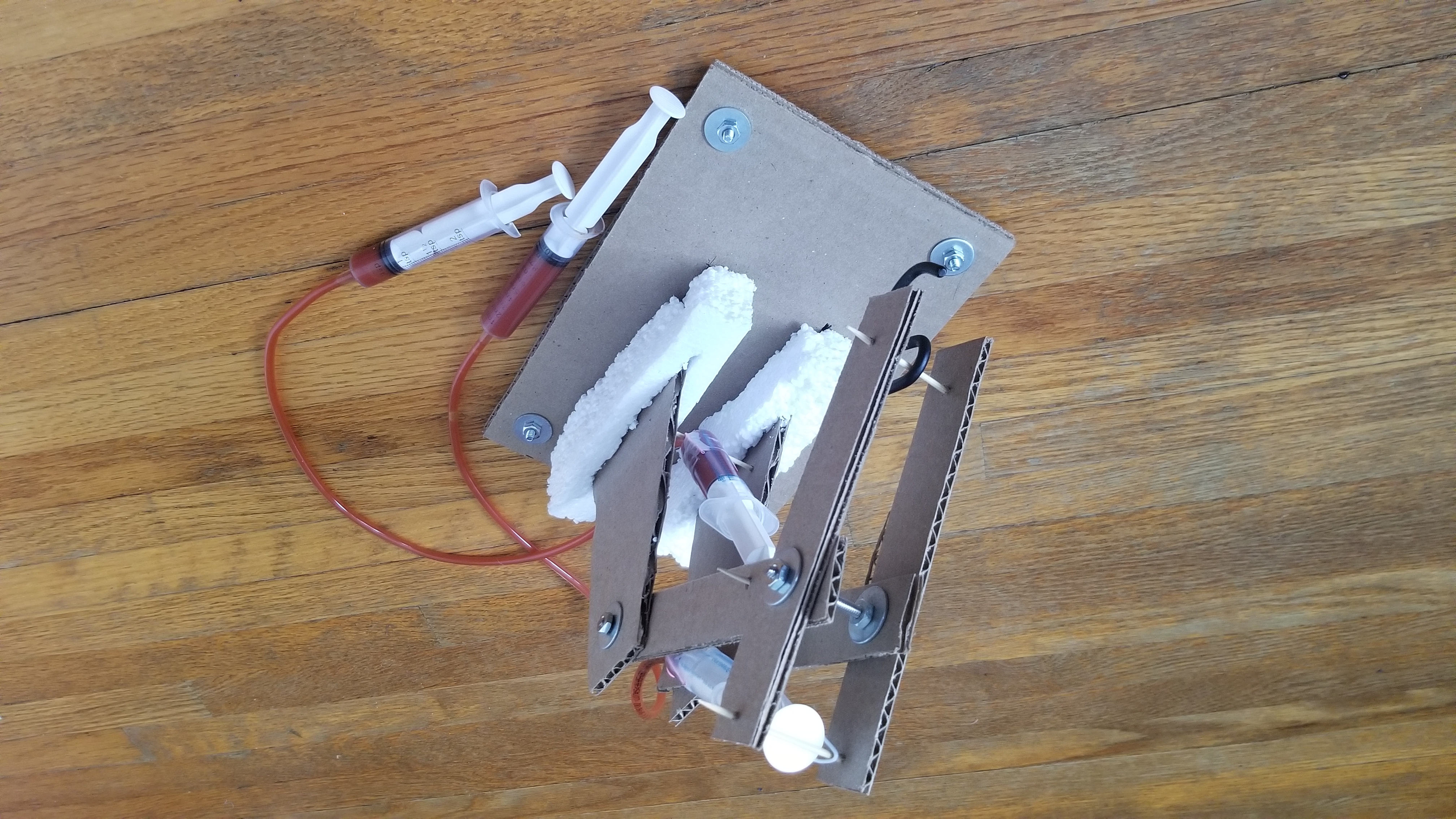 Picture of the full hoist
